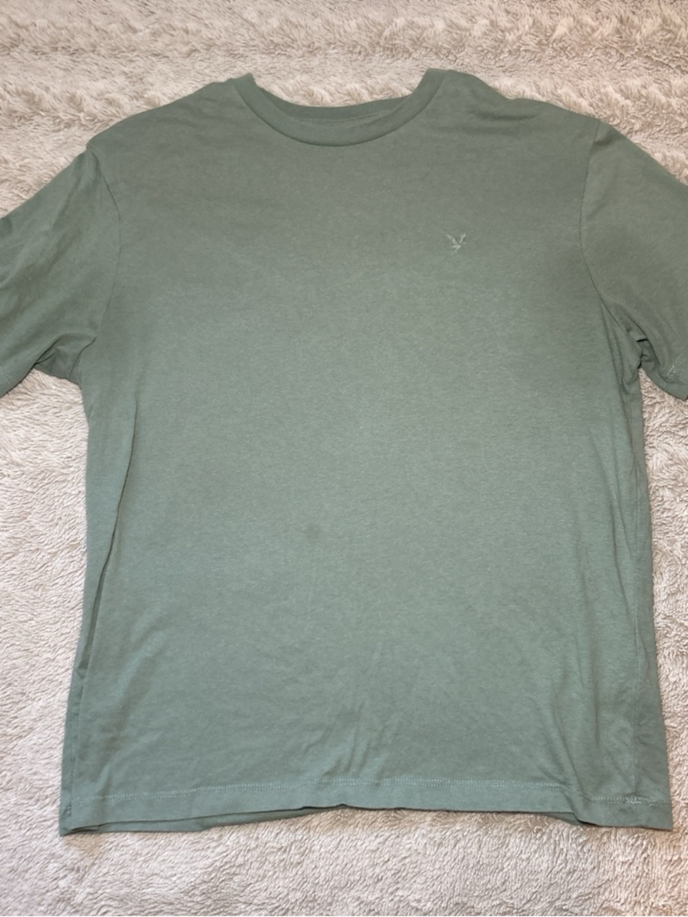 American Eagle Outfitters Lightweight Crew Neck Tee in Sage Green